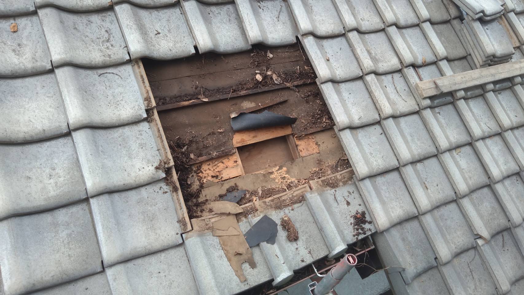 守谷市で雨漏りが起きる家の特徴｜原因と修理費用を解説/守谷市で雨漏り修理なら株式会社壁工房にお任せください